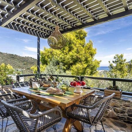 Villa Politimi Luxury Retreat Skopelos Dış mekan fotoğraf