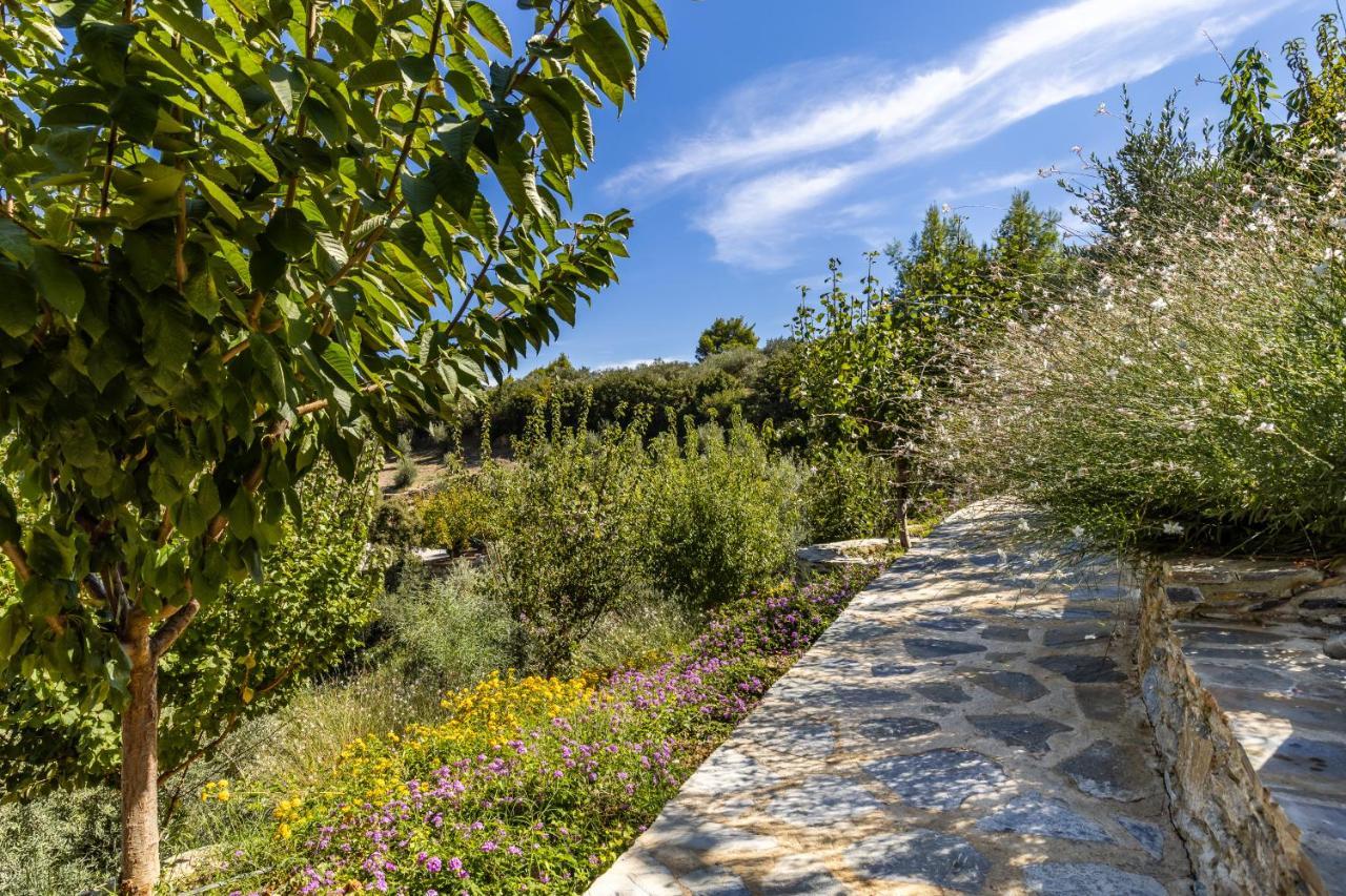 Villa Politimi Luxury Retreat Skopelos Dış mekan fotoğraf